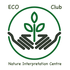 Course Image WKSP-20/102 YOGITA MALIK