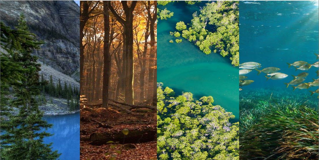 Course Image RFIP3_019 Dr. ABHINAV JOSEPH