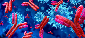 Course Image RFIP3_036 Tarannoom Khan